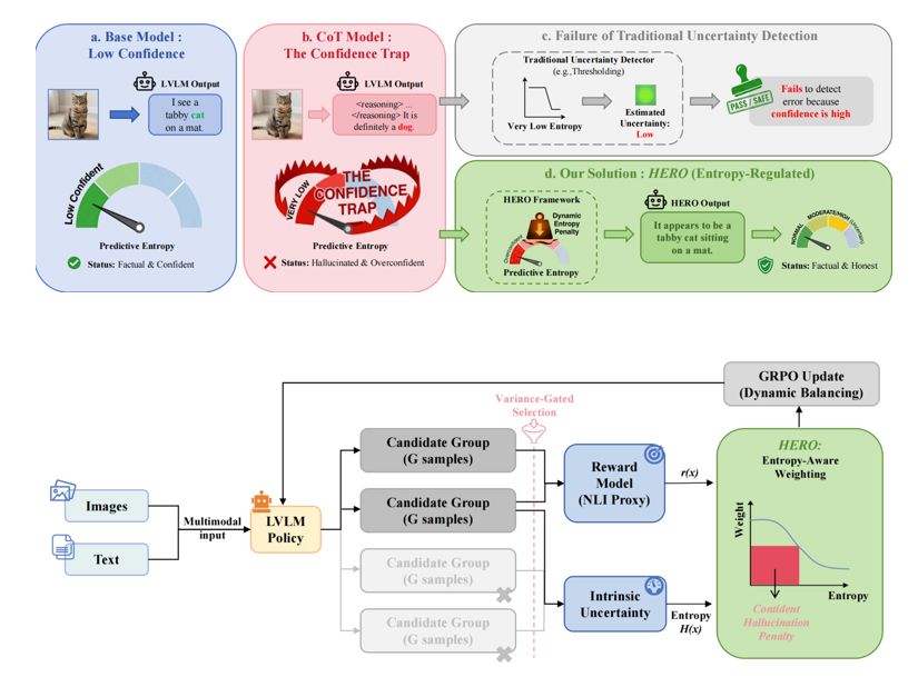 HERO: Enhancing Multimodal Faithfulness via Dynamic Entropy-Aware Reinforcement Learning